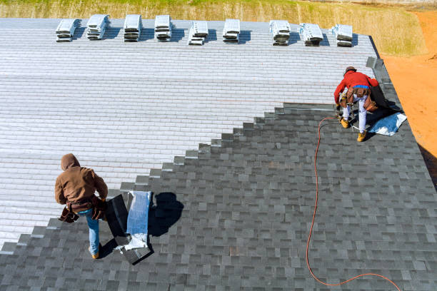 Best Roof Ventilation Installation  in Dassel, MN